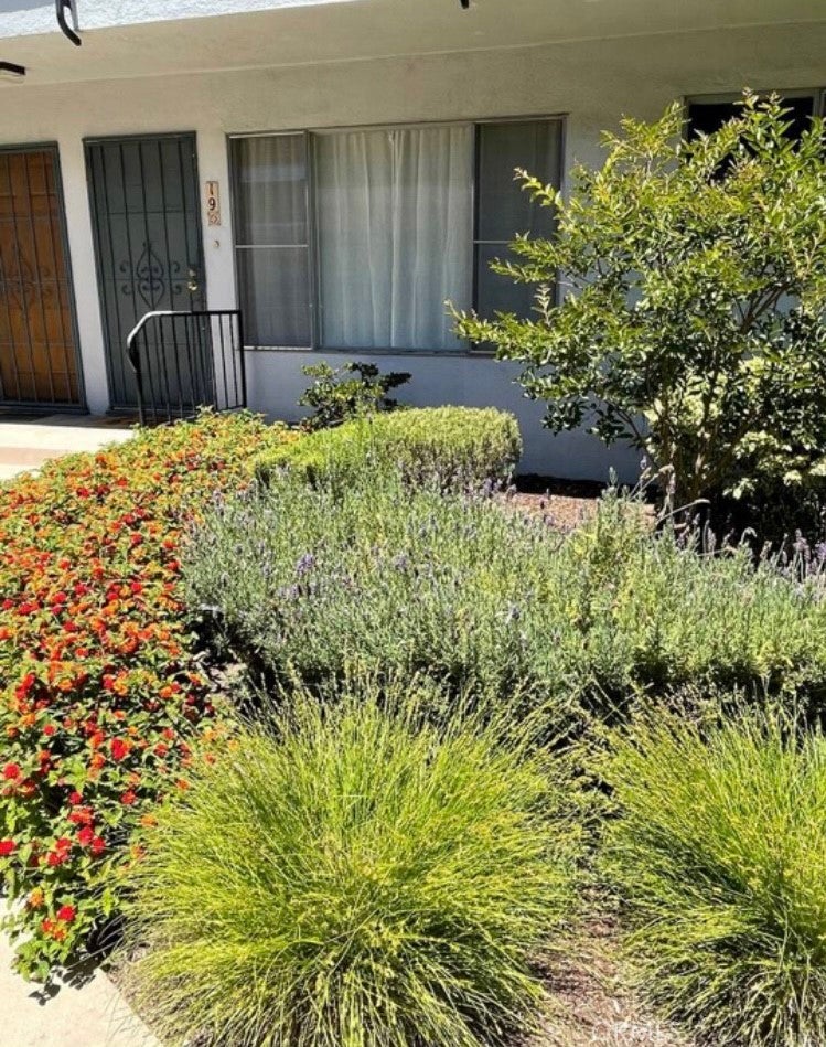 Photo of Listing #OC25149190