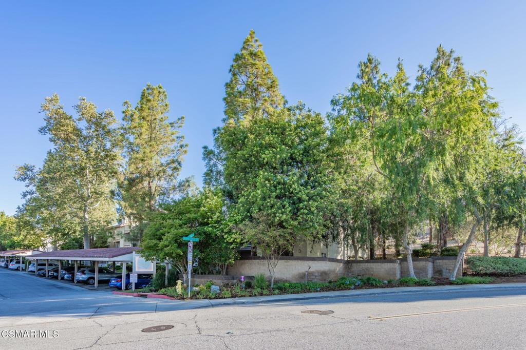 Photo of Listing #225003501