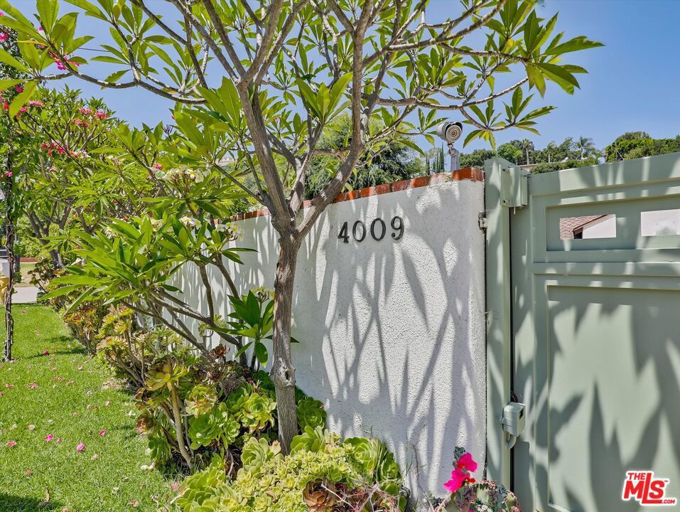 Photo of Listing #25563597