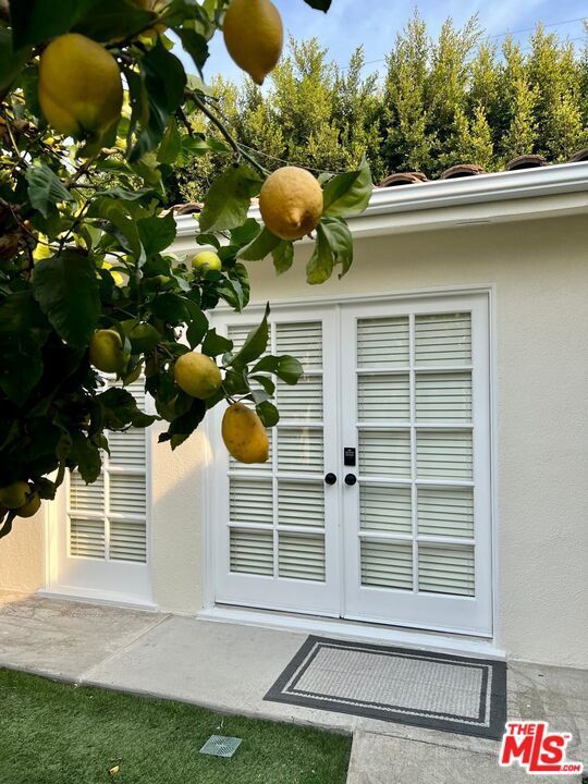 Photo of Listing #25572587