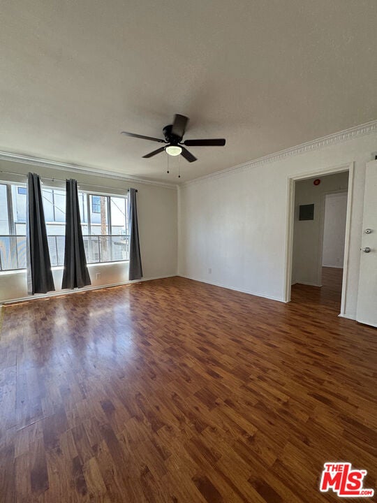 Photo of Listing #25581191