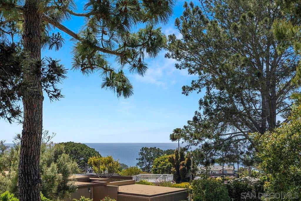 Photo of Listing #250038958SD