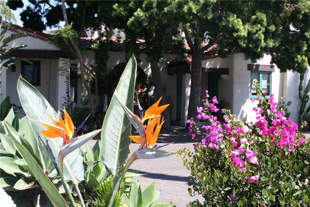 Photo of Listing #OC25280391