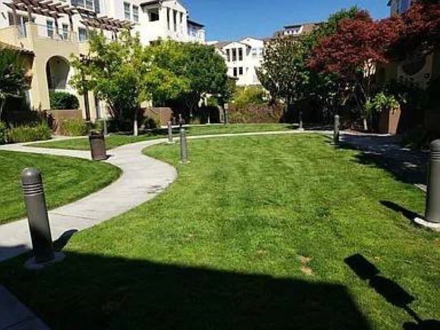 Photo of Listing #41121247