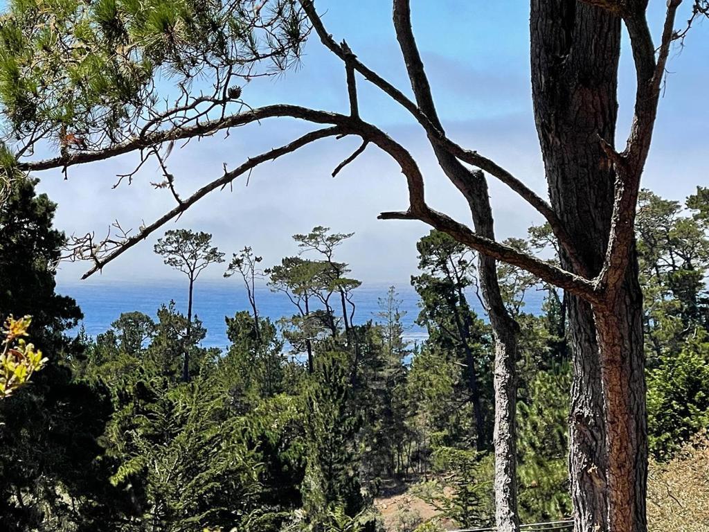 Photo of Listing #ML81913512