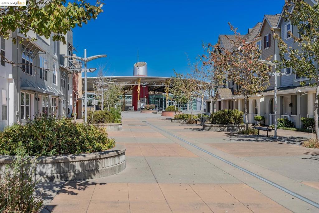 Photo of Listing #41065077