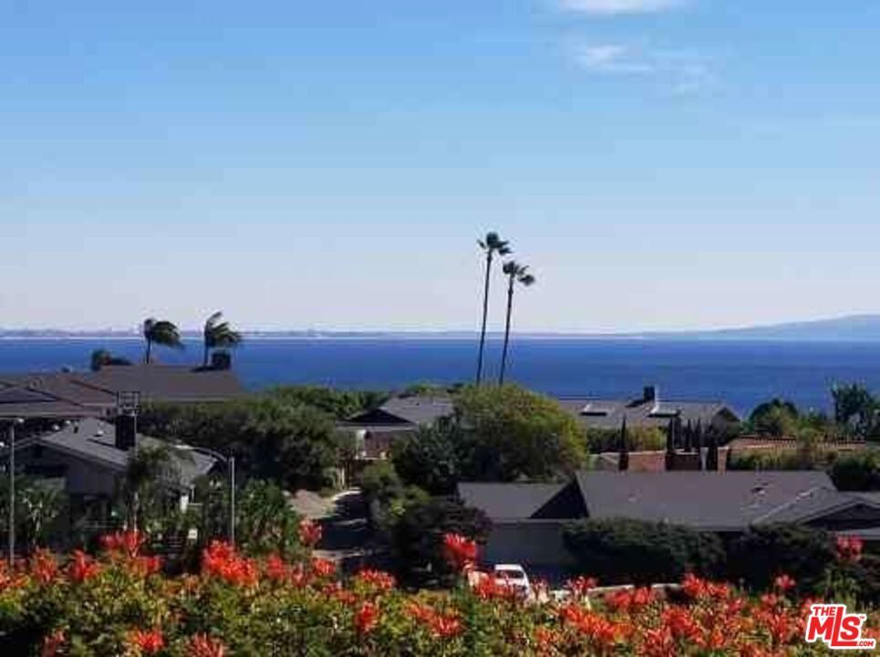 Photo of Listing #24445947