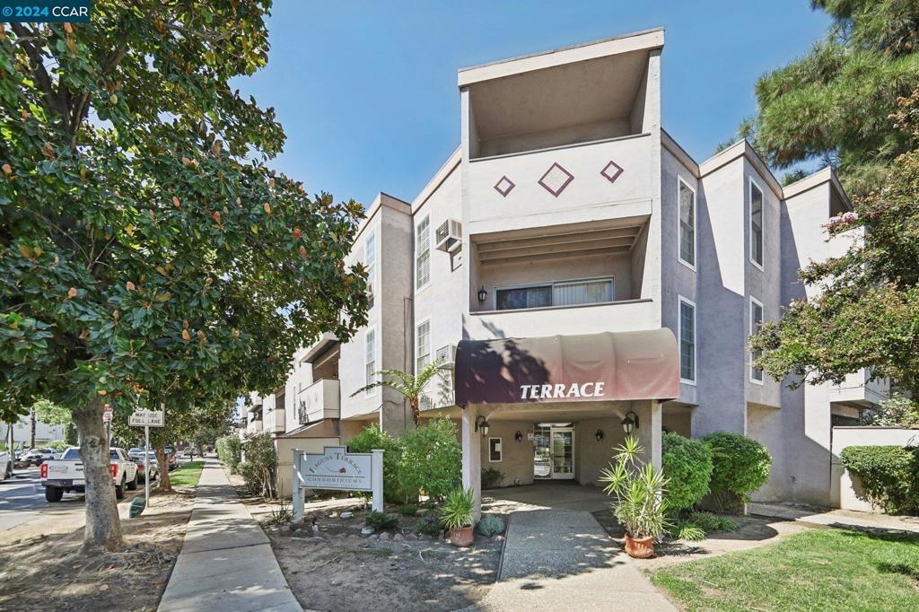 Photo of Listing #41075039