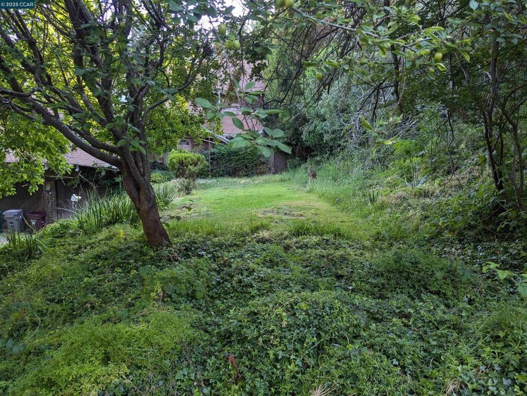 Photo of Listing #41075851