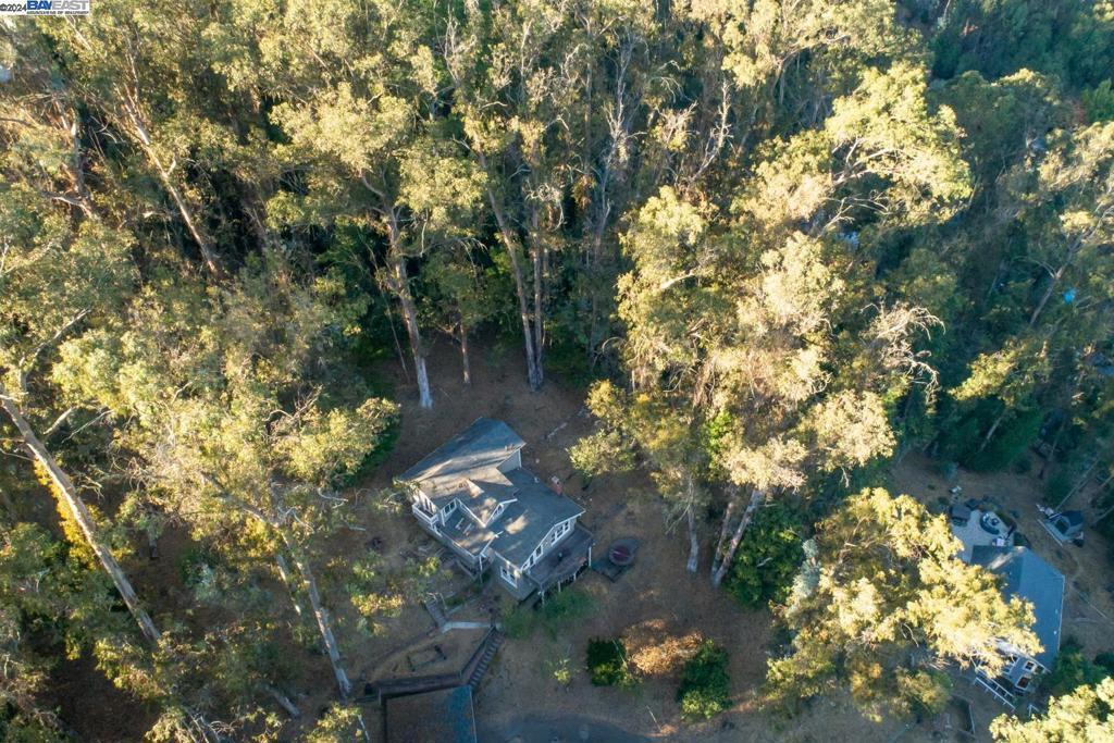 Photo of Listing #41076412