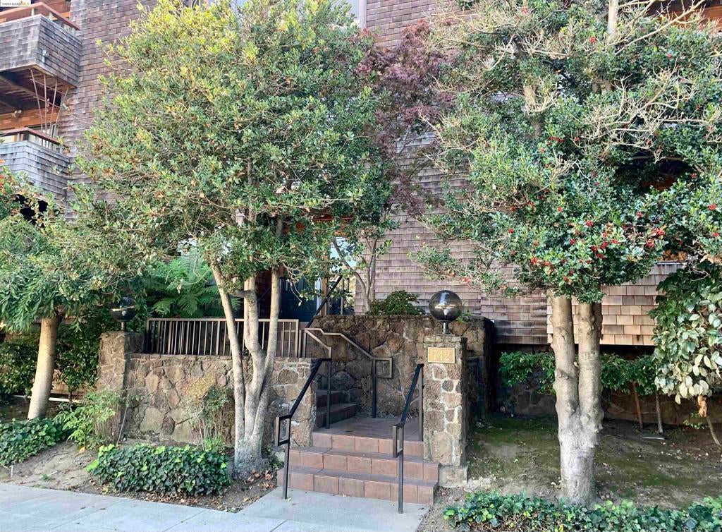 Photo of Listing #41076956