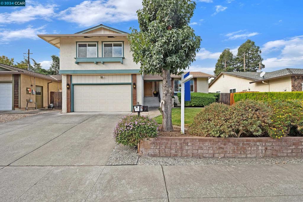 Photo of Listing #41077625