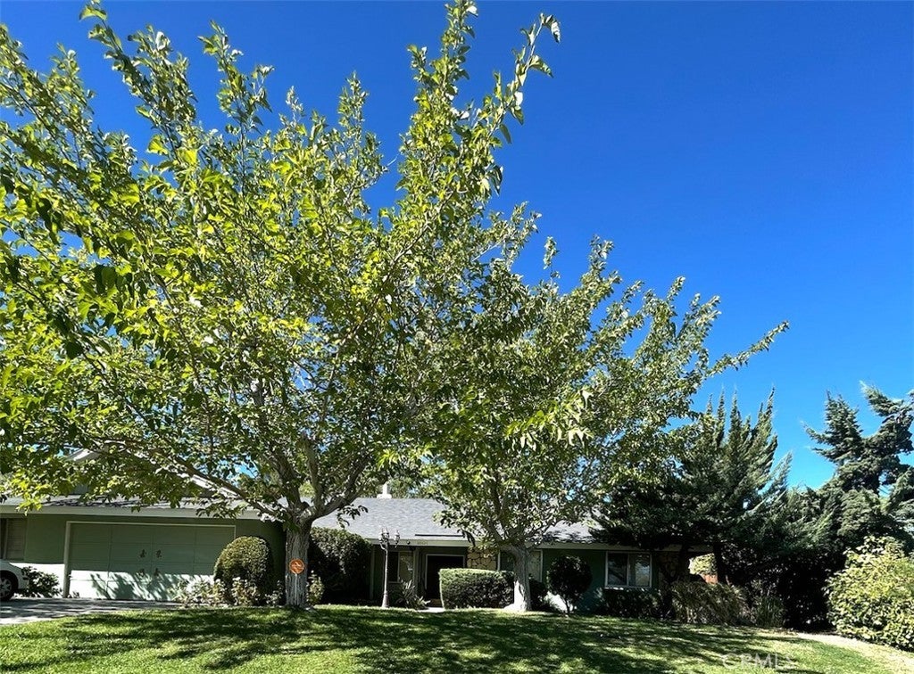 Photo of Listing #SR24230413