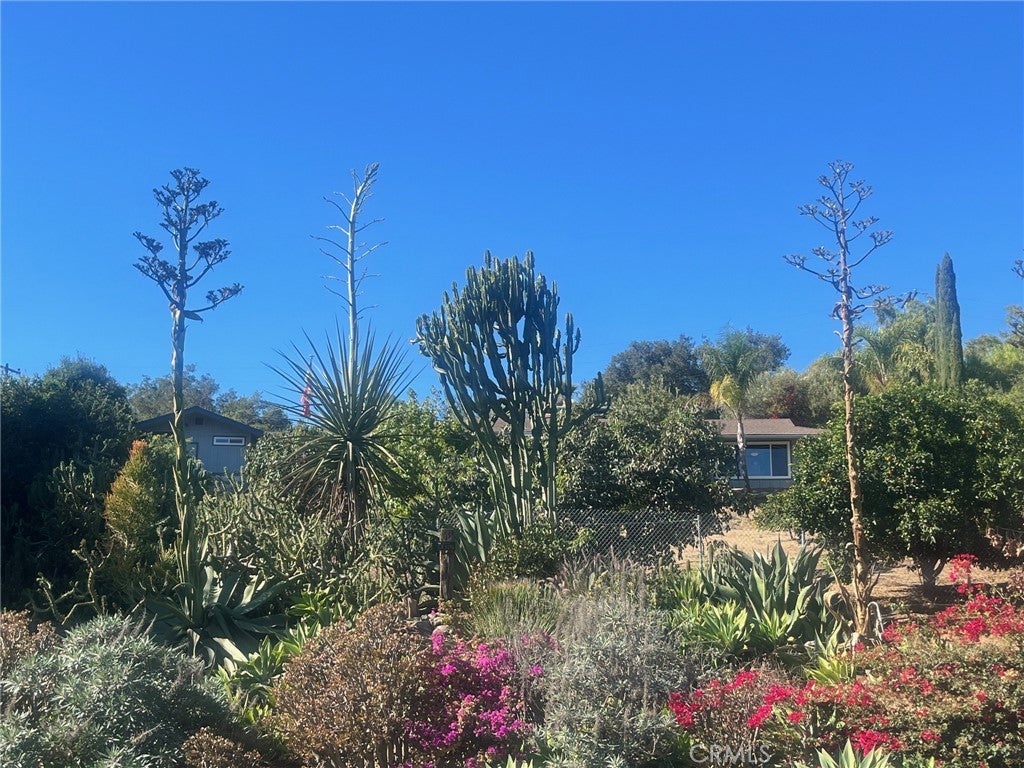 Photo of Listing #SW24235019