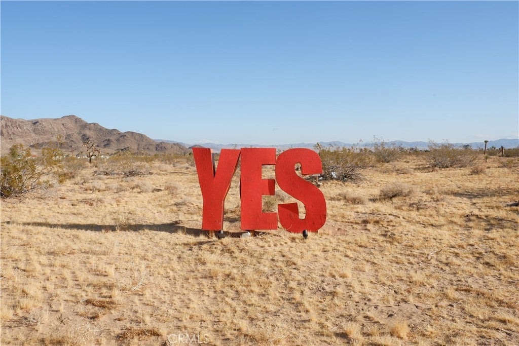 Photo of Listing #JT24235021