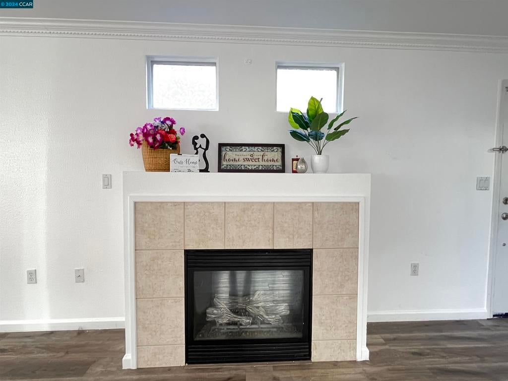 Photo of Listing #41079768