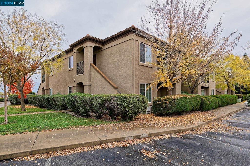 Photo of Listing #41079864