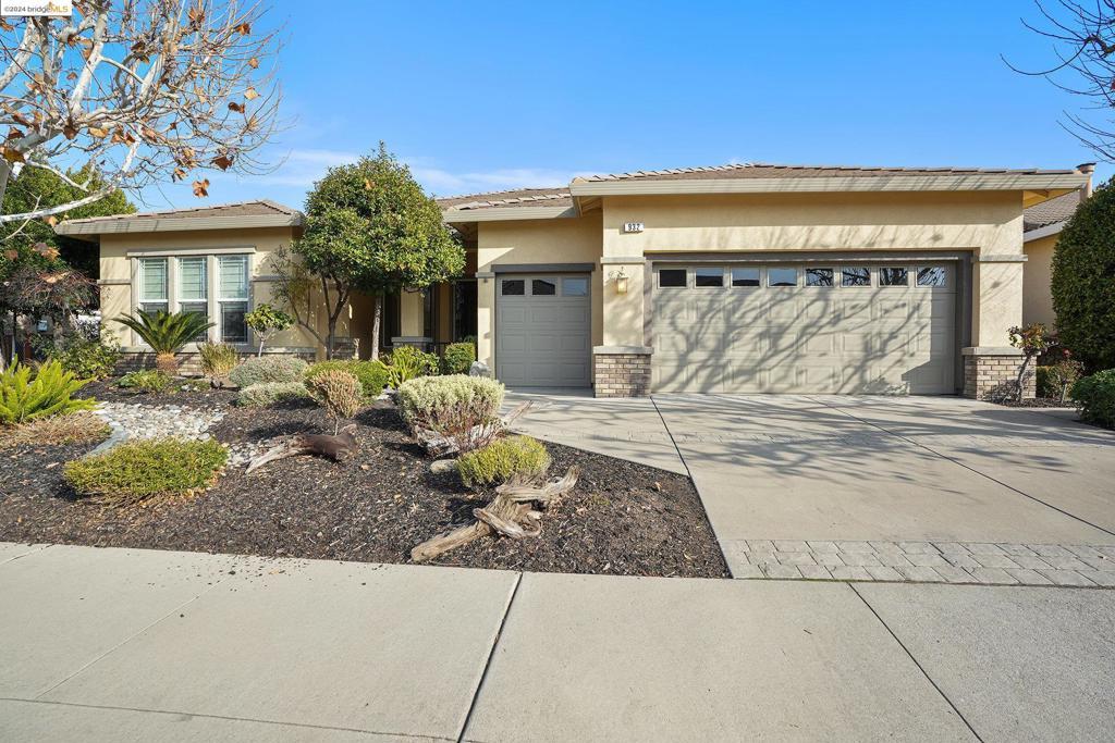 Photo of Listing #41080646