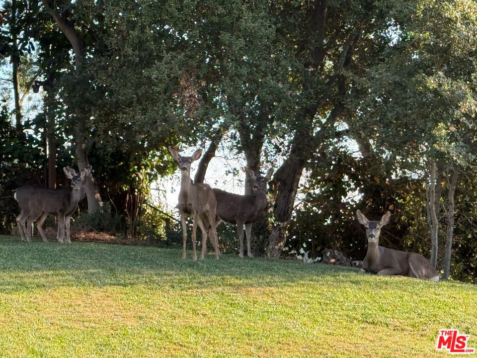 Photo of Listing #24472227