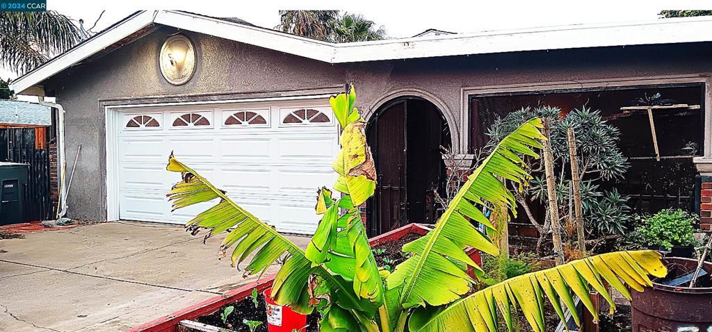 Photo of Listing #41081196