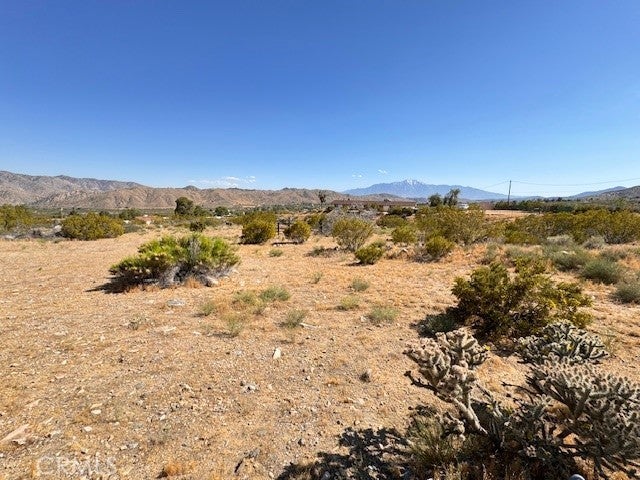 Photo of Listing #CV25000989