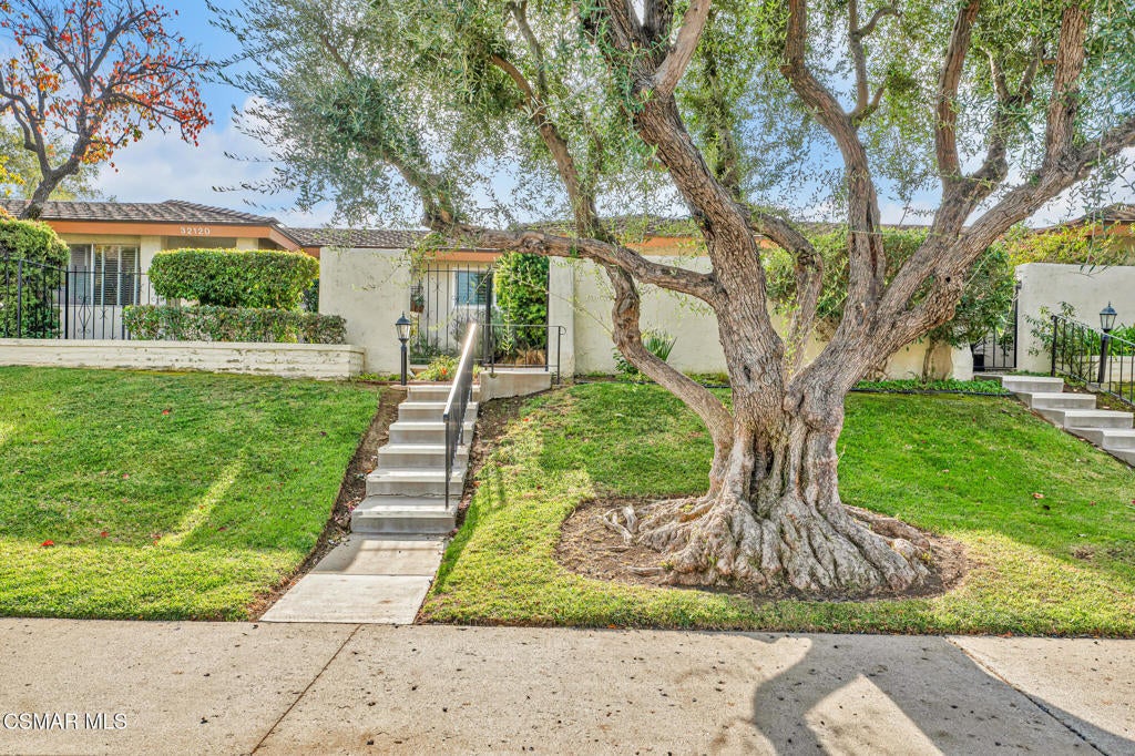 Photo of Listing #225000074