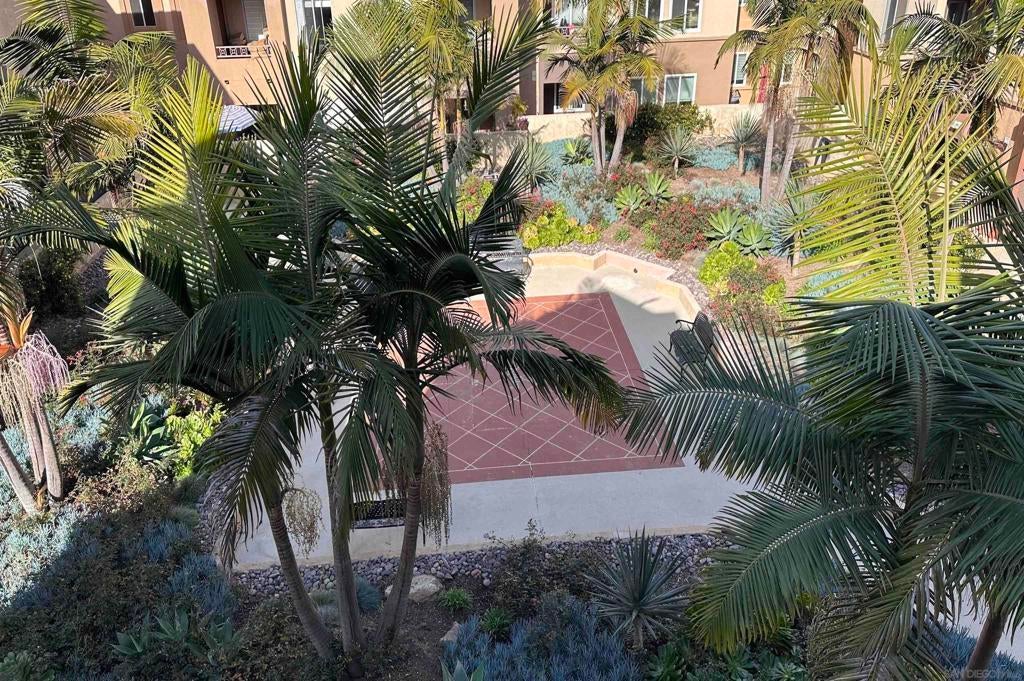 Photo of Listing #250000648SD