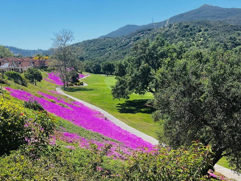 Photo of Listing #NDP2500277