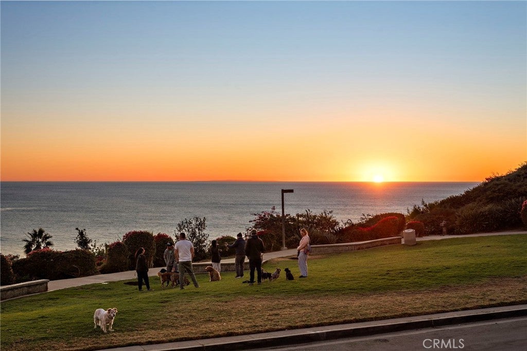 Photo of Listing #OC25009155