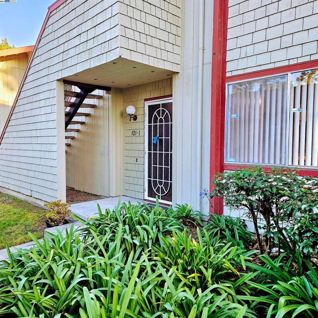 Photo of Listing #41082432