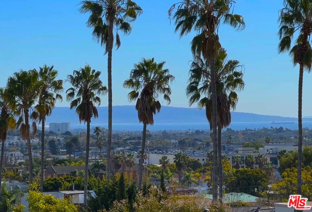 Photo of Listing #25483643