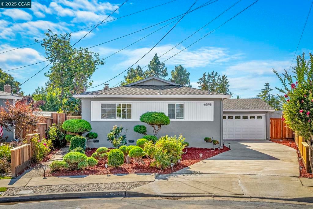 Photo of Listing #41082519