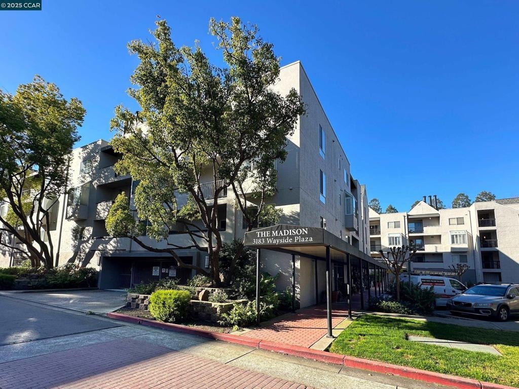 Photo of Listing #41082691