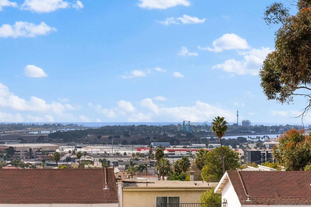 Photo of Listing #250001479SD