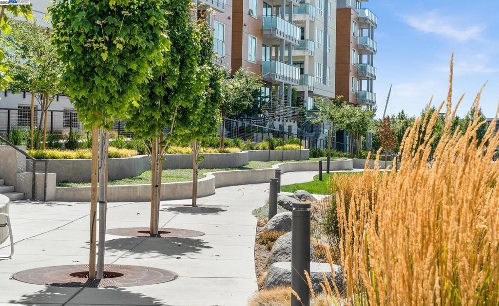 Photo of Listing #41082814