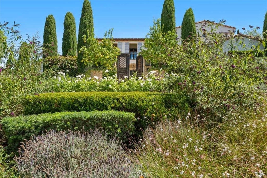 Photo of Listing #NP25011945