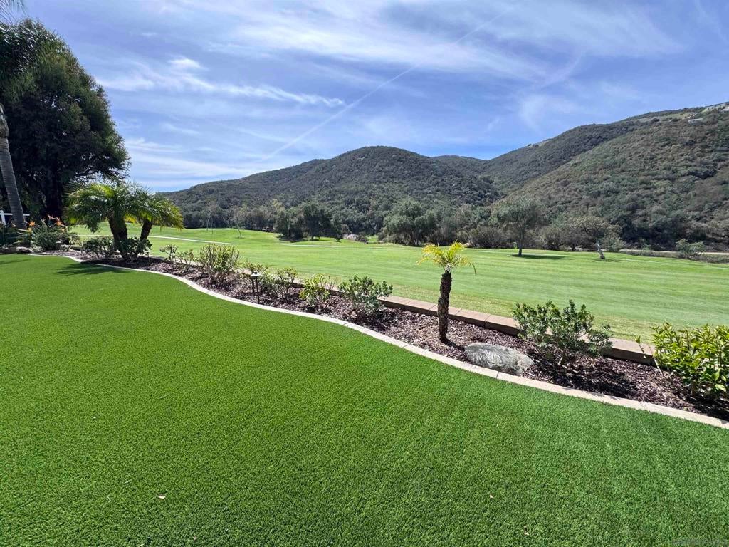 Photo of Listing #250017120SD