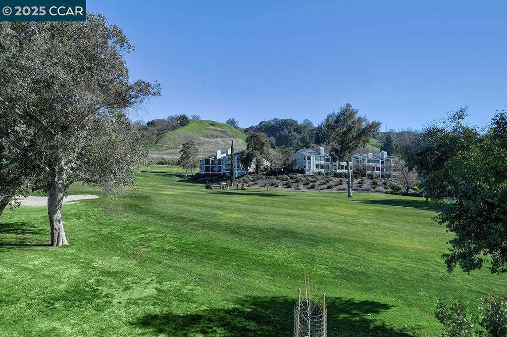 Photo of Listing #41083685