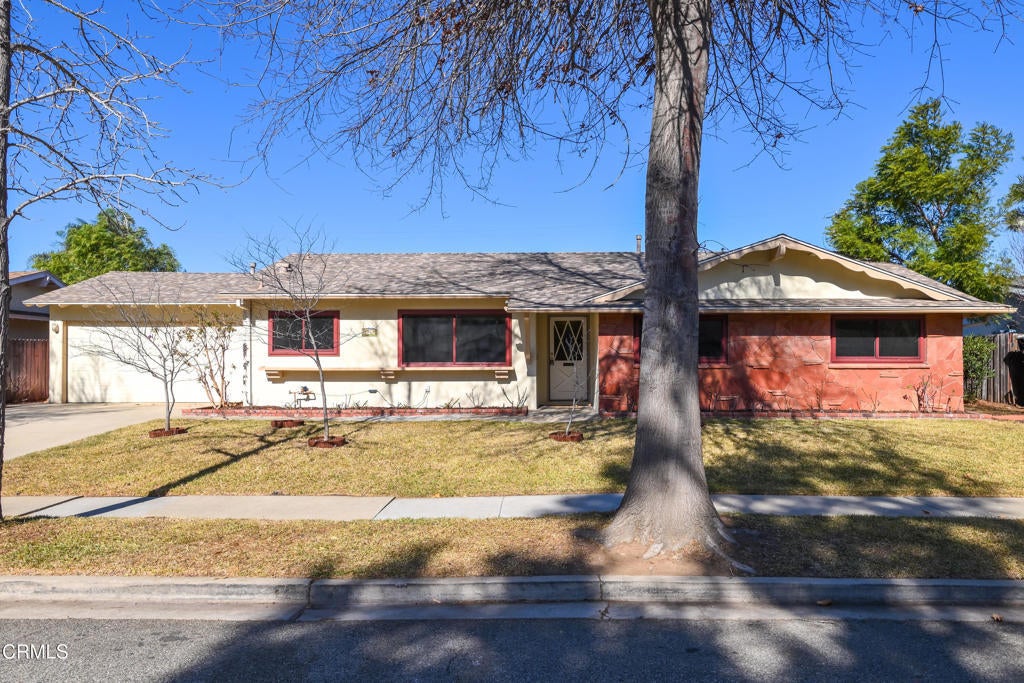 Photo of Listing #V1-27778