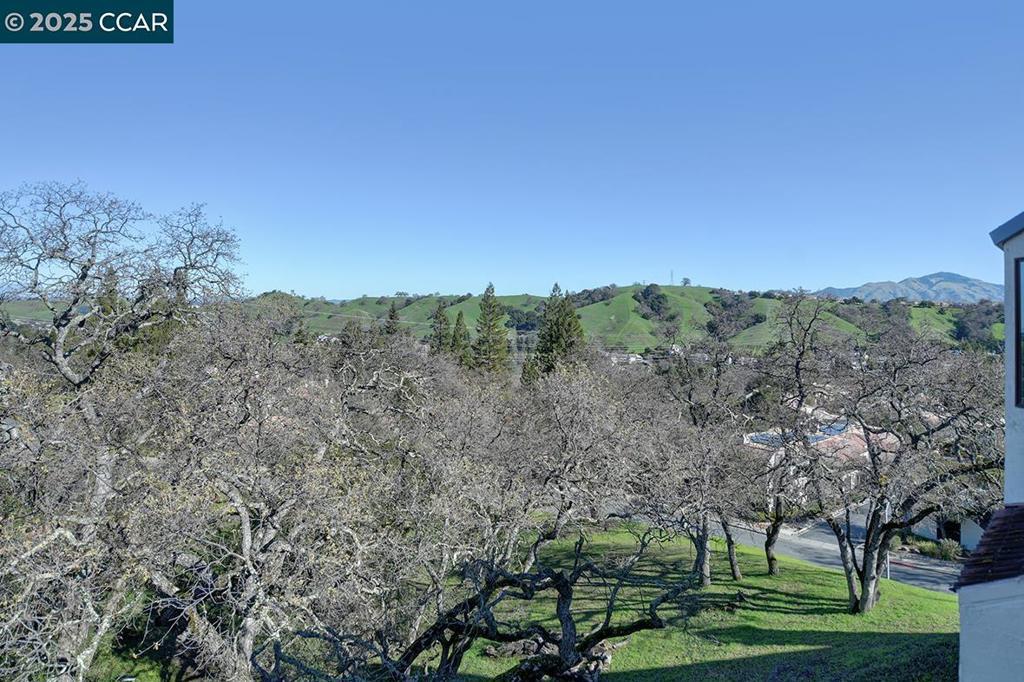 Photo of Listing #41083718