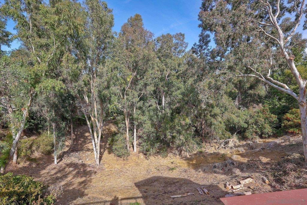 Photo of Listing #250017863SD