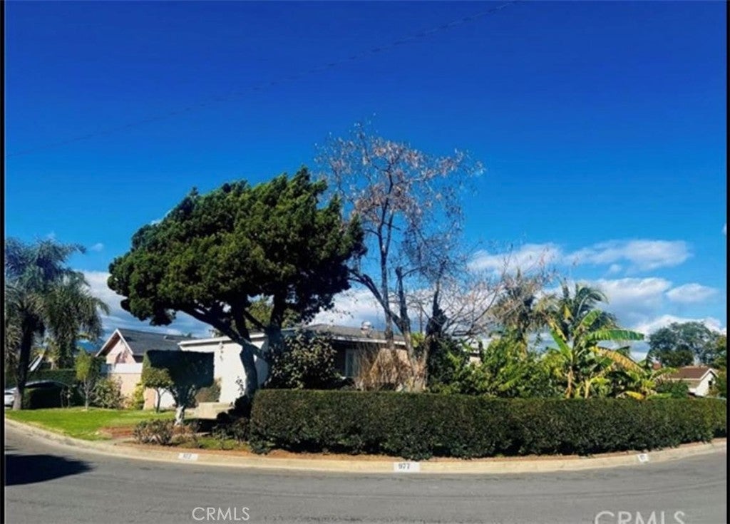 Photo of Listing #TR25024002