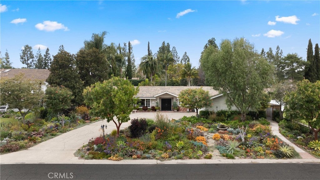 Photo of Listing #OC25025008