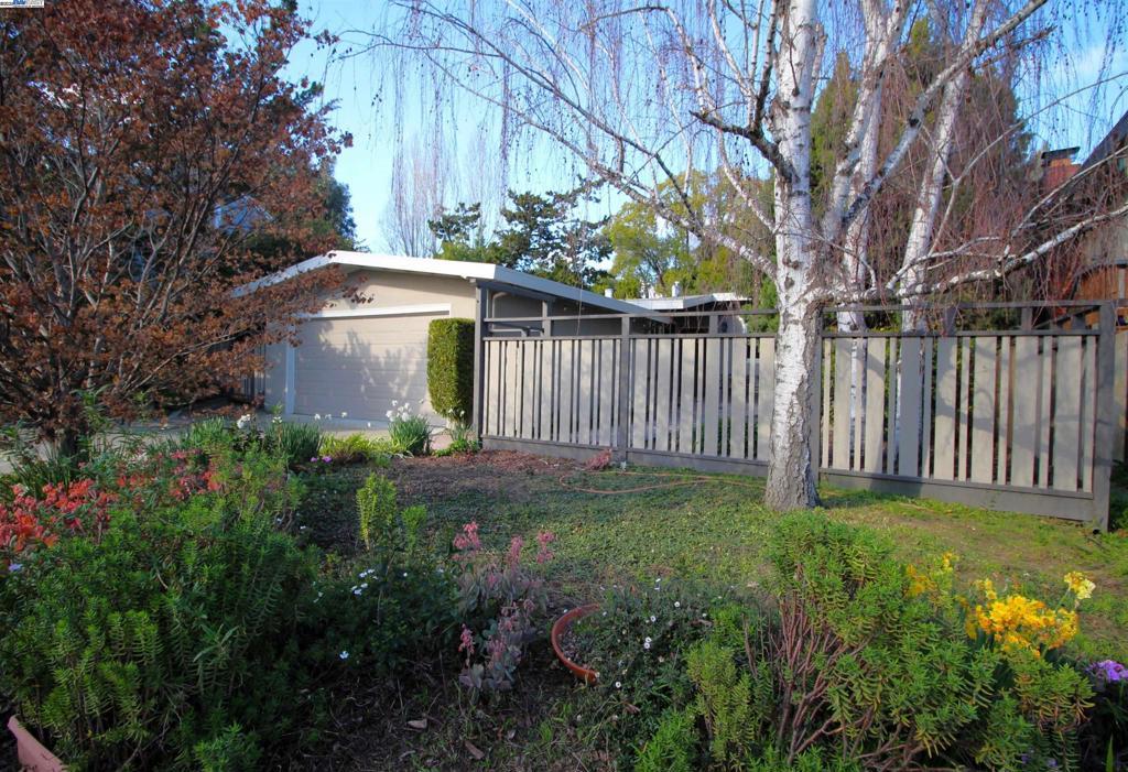 Photo of Listing #41084707