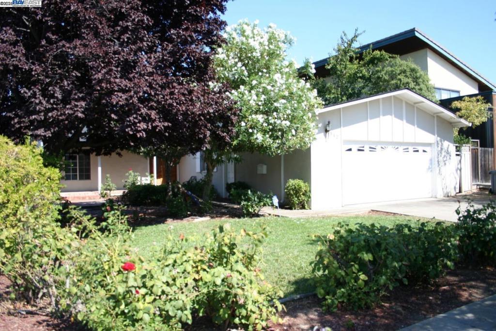 Photo of Listing #41084824