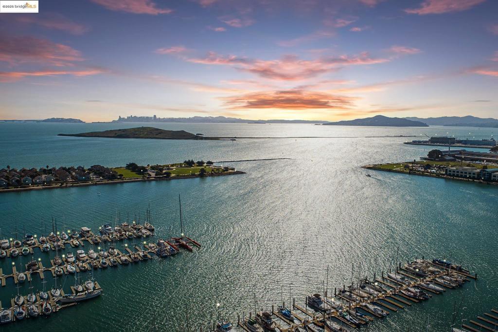 Photo of Listing #41084863