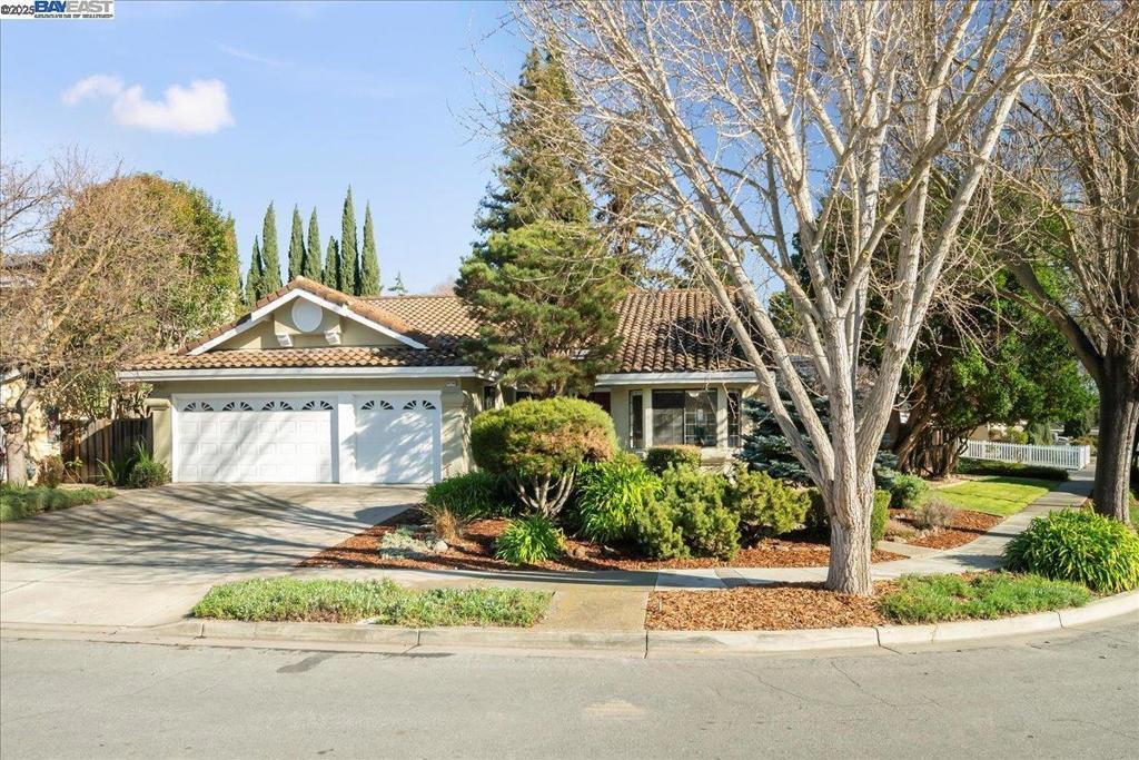 Photo of Listing #41084975