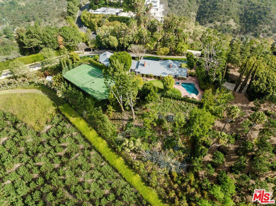 Photo of Listing #25496907