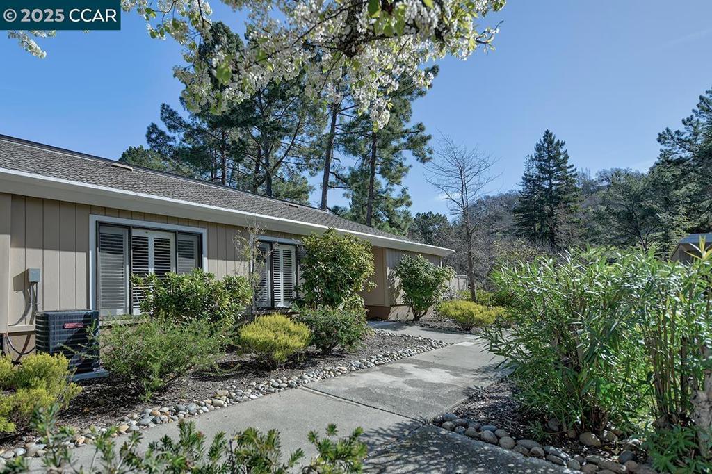 Photo of Listing #41085896