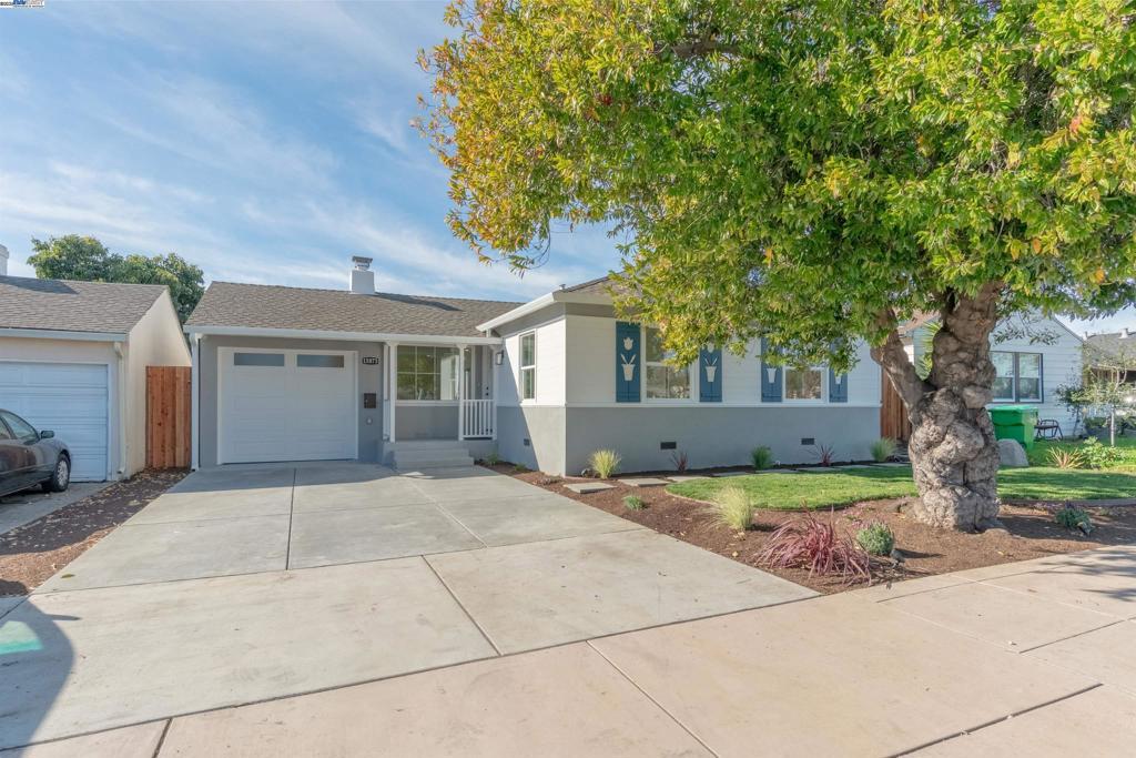 Photo of Listing #41086019